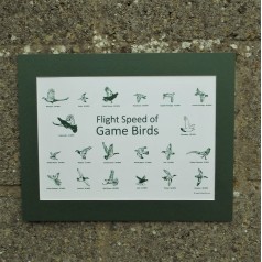 Game Birds Print Game Birds Print